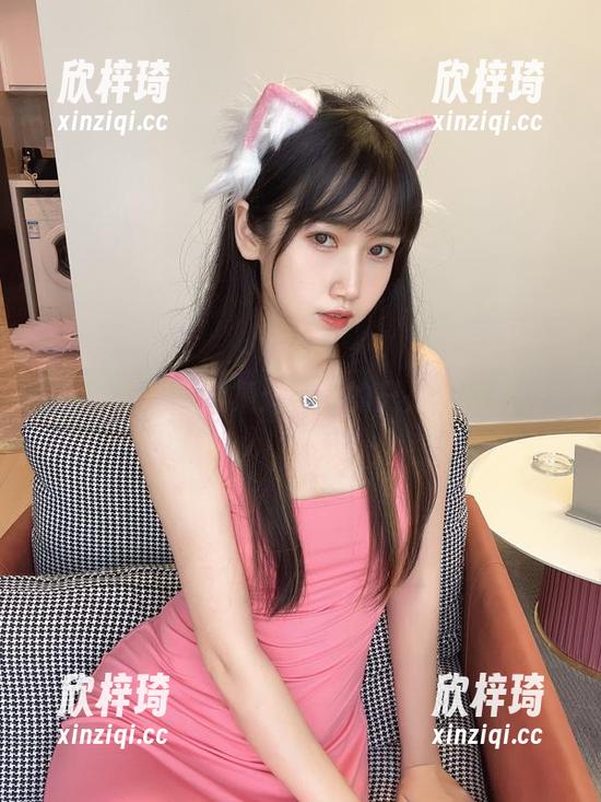 不呆猫灰丝合集：我真的只是在欣赏…