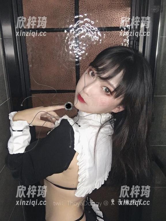 奇行家狗崽带你飞，高清空姐作品出炉，谁说航班不能high？