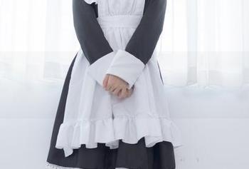 少女秩序 - 小鱼的内部定制女仆写真集：下载前务必做好心理准备哦