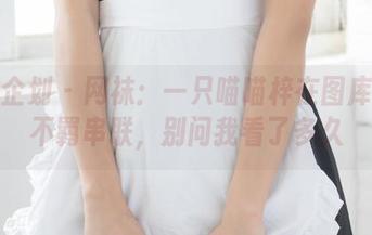 紧急企划 - 网袜：一只喵喵梓在图库里的不羁串联，别问我看了多久